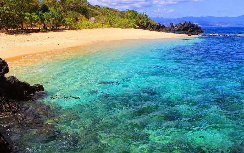 Kabupaten Flores Timur